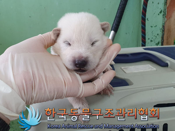 한국동물구조관리협회_441559202300446